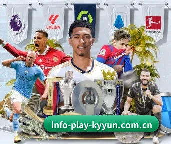 info-play-kyyun.com.cn APP - kaiyun